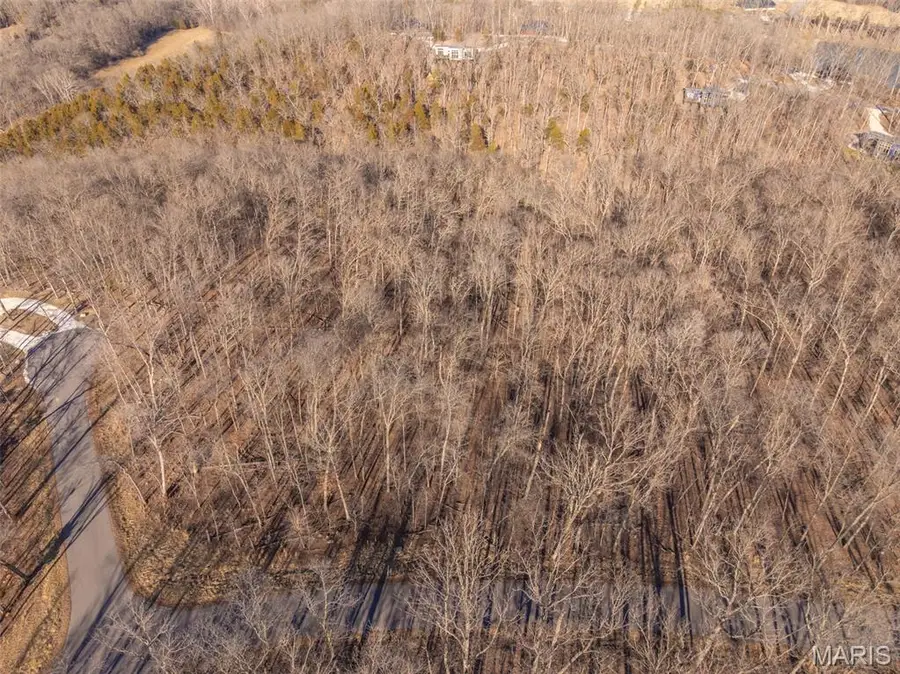 2835 Tyrolean Way Drive, Innsbrook, MO 63390 - #2