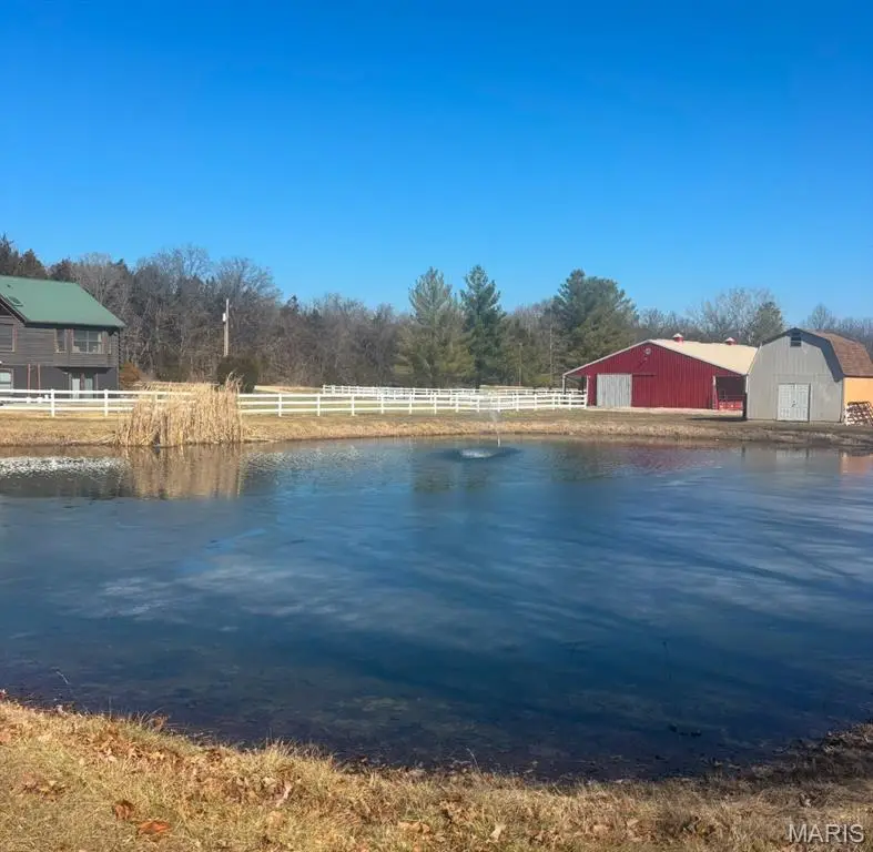 12928 Morgans Meadow Road, De Soto, MO 63020 - #2