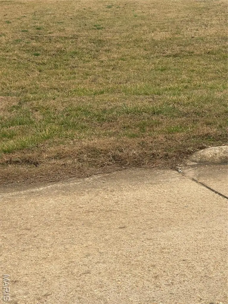 3 Oxen Pasture Road, Doniphan, MO 63935 - #2