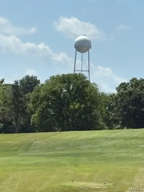 0000 Greenwood, Hillsboro, MO 63050 - #2