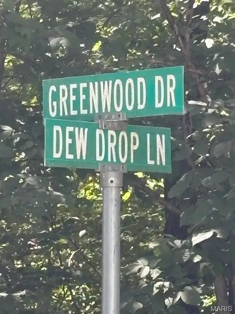 0000 Greenwood, Hillsboro, MO 63050 - #3