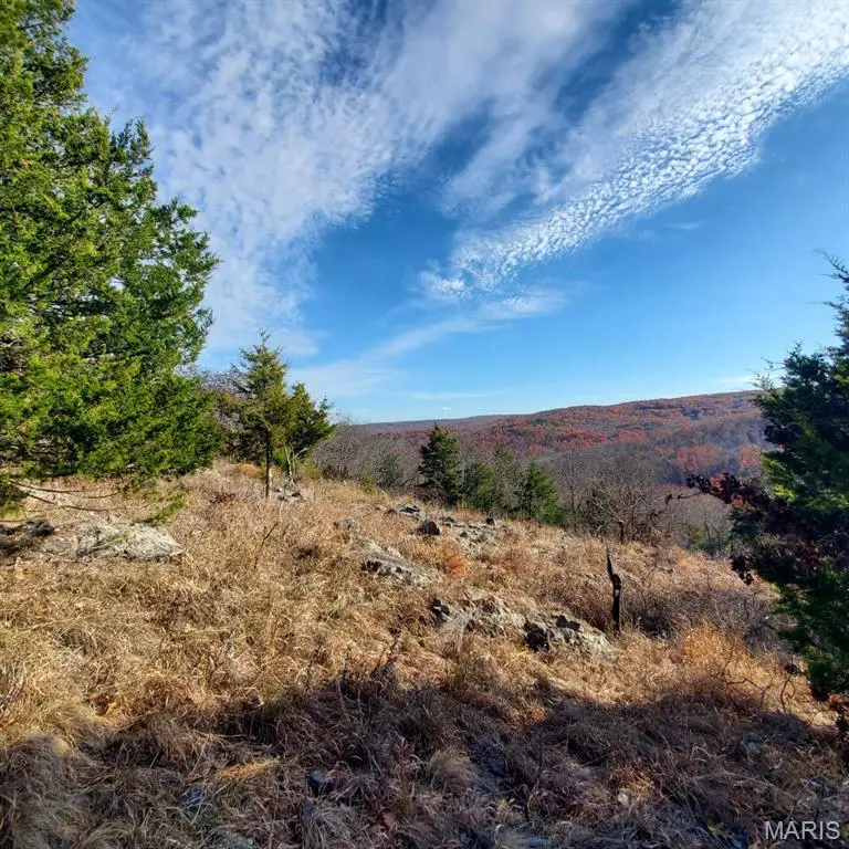 00 County Road 101, Ironton, MO 63650 - #2