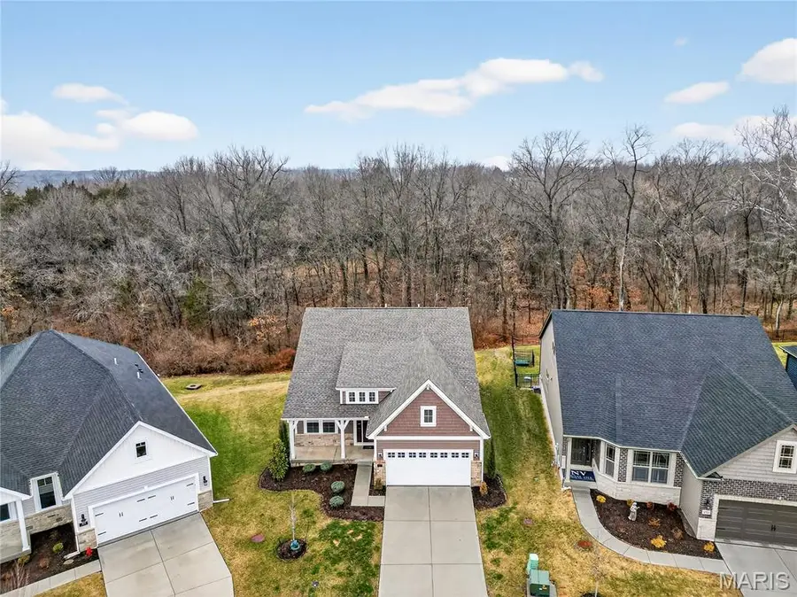 253 Cambium Court, Wentzville, MO 63385 - #3