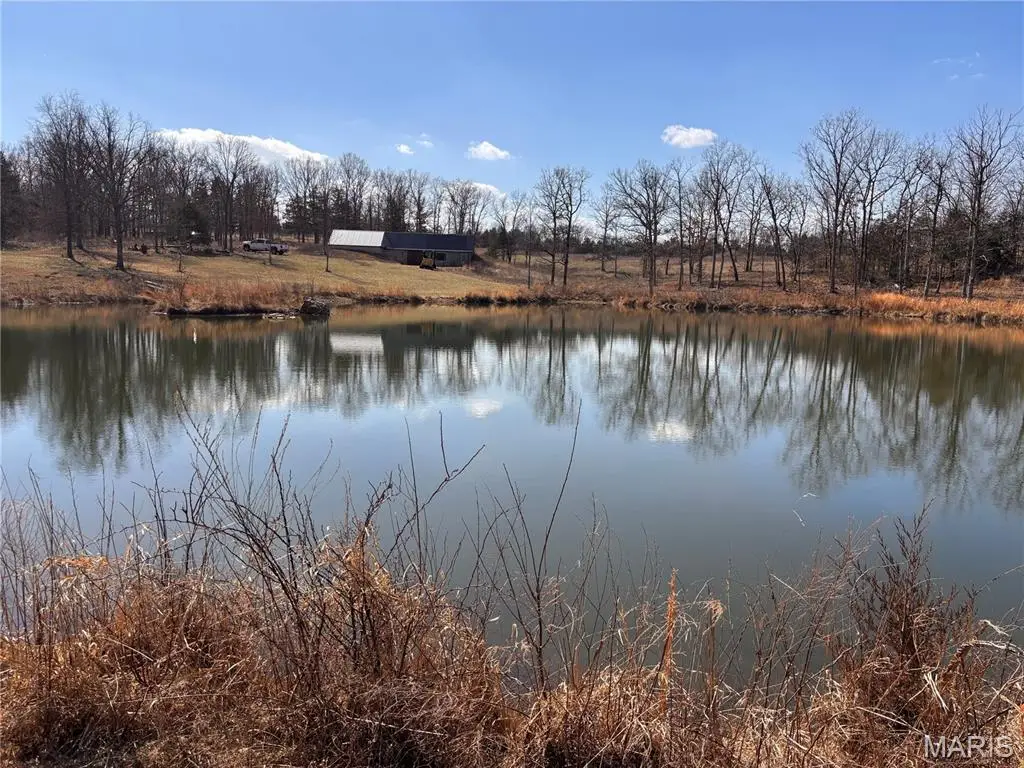 85 Barnicle Chapel Road, Steelville, MO 65565 - #1