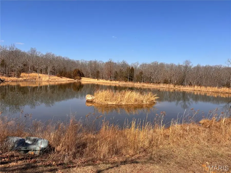 85 Barnicle Chapel Road, Steelville, MO 65565 - #2