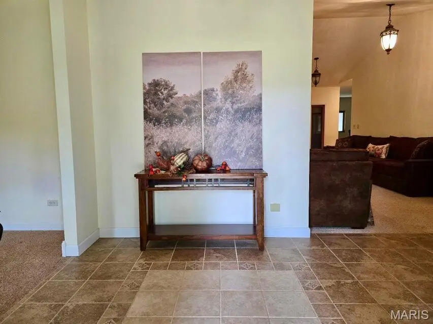 20404 Alpine Trail, Raymondville, MO 65555 - #3