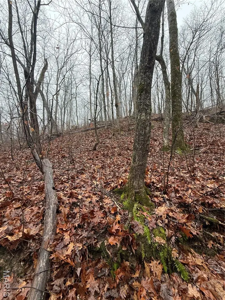 0 Peninsula Trail, New Florence, MO 63363 - #2