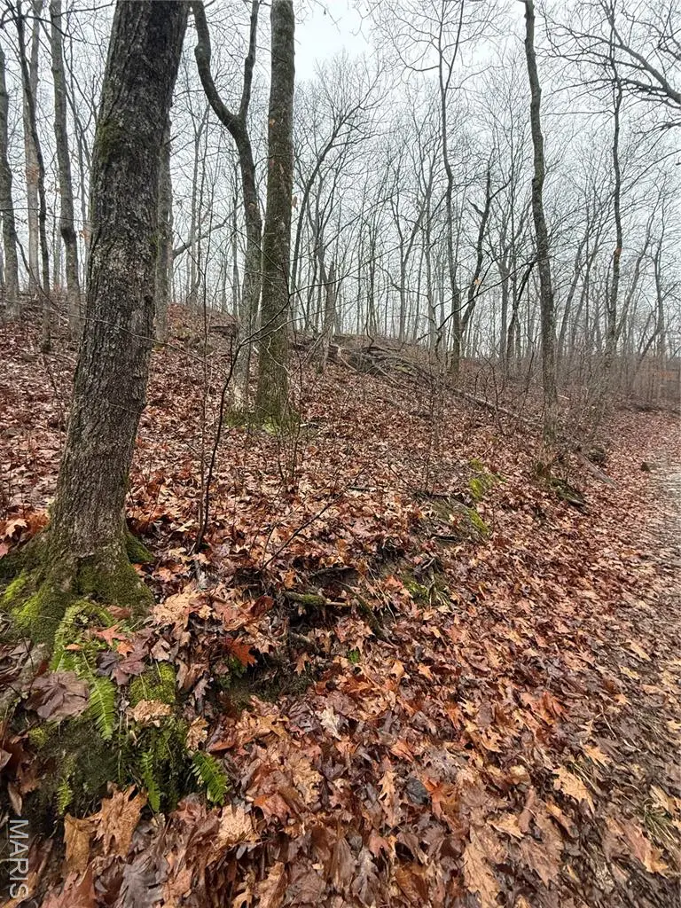 0 Peninsula Trail, New Florence, MO 63363 - #3