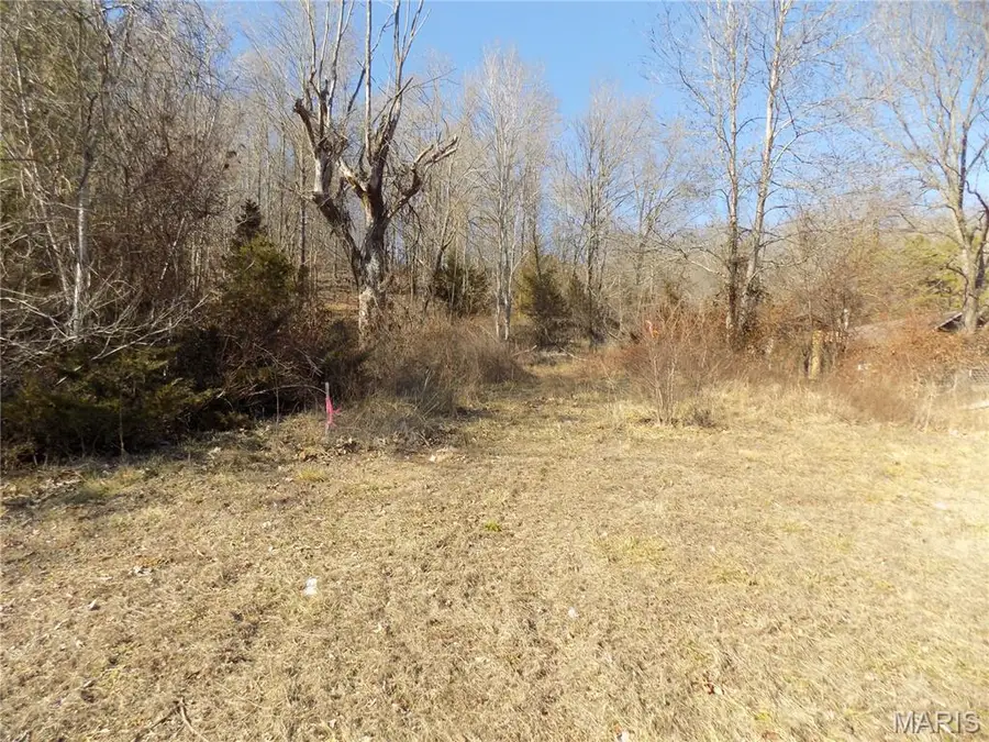 38320 Highway 21, Lesterville, MO 63654 - #2