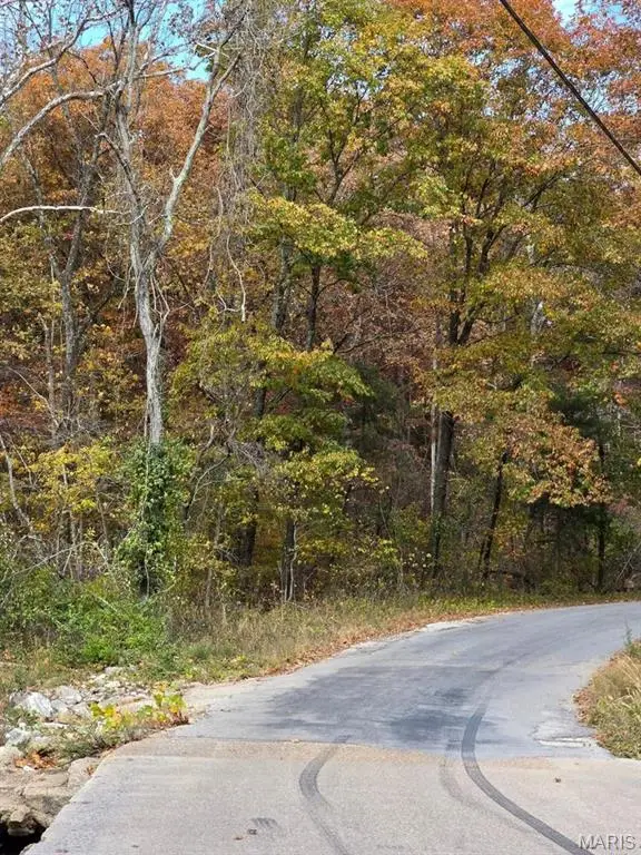 000 Mineral Drive Lot 1, Houston, MO 65483