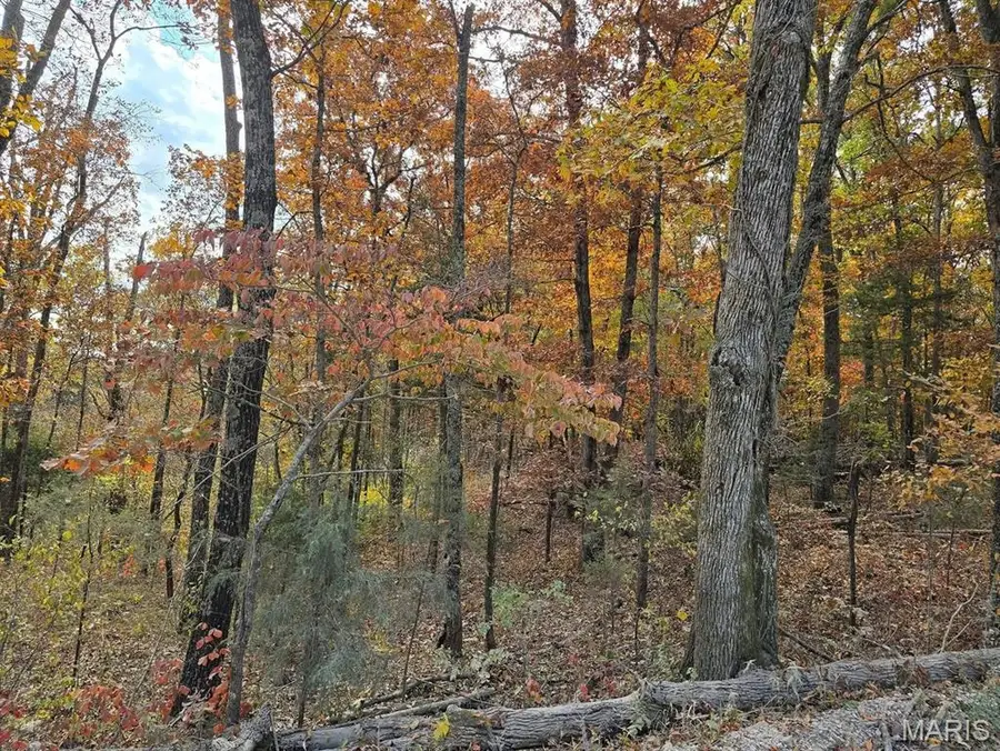 000 Mineral Drive Lot 1, Houston, MO 65483 - #3