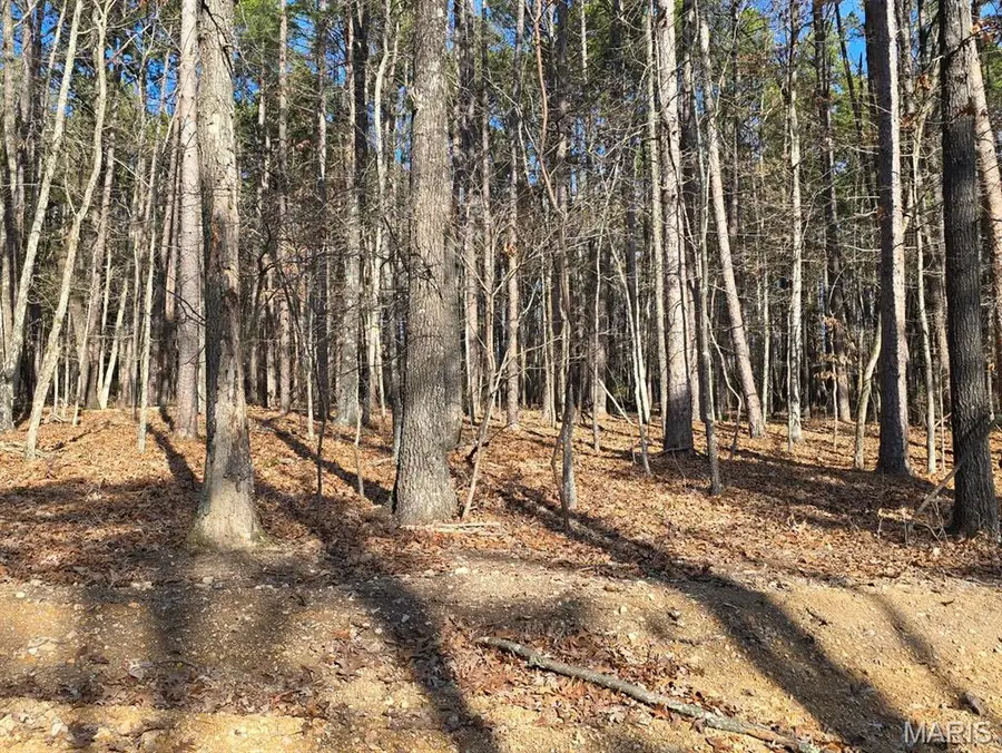 000 Mineral Drive Lot 2, Houston, MO 65483 - #3