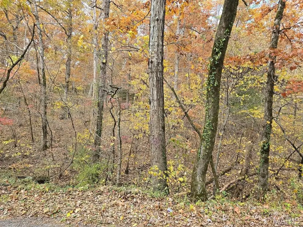 000 Mineral Drive Lot 3, Houston, MO 65483 - #1