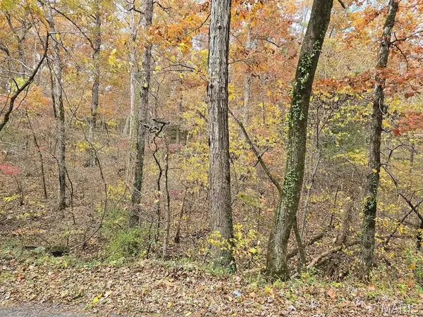 000 Mineral Drive Lot 3, Houston, MO 65483