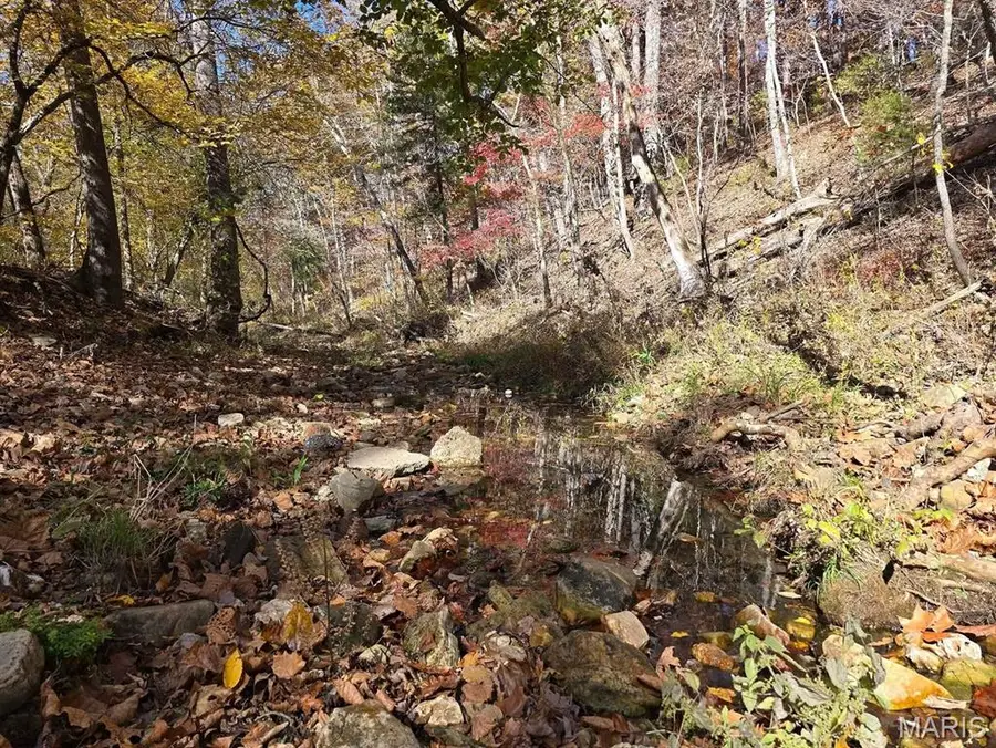 000 Mineral Drive Lot 3, Houston, MO 65483 - #2