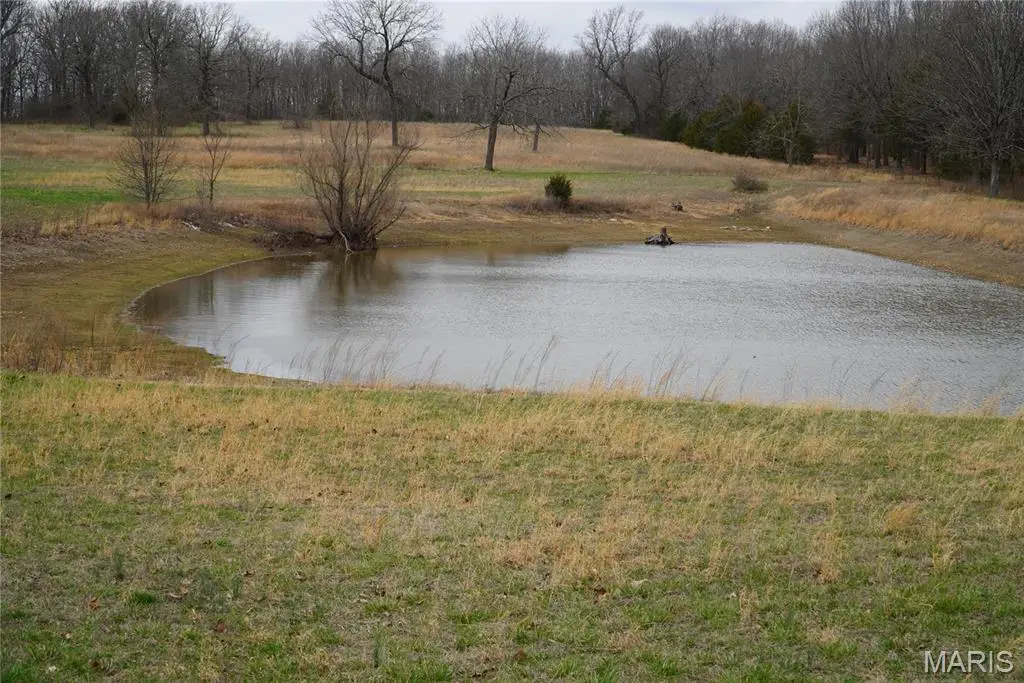 18143 Oasis Drive, Phillipsburg, MO 65722 - #1