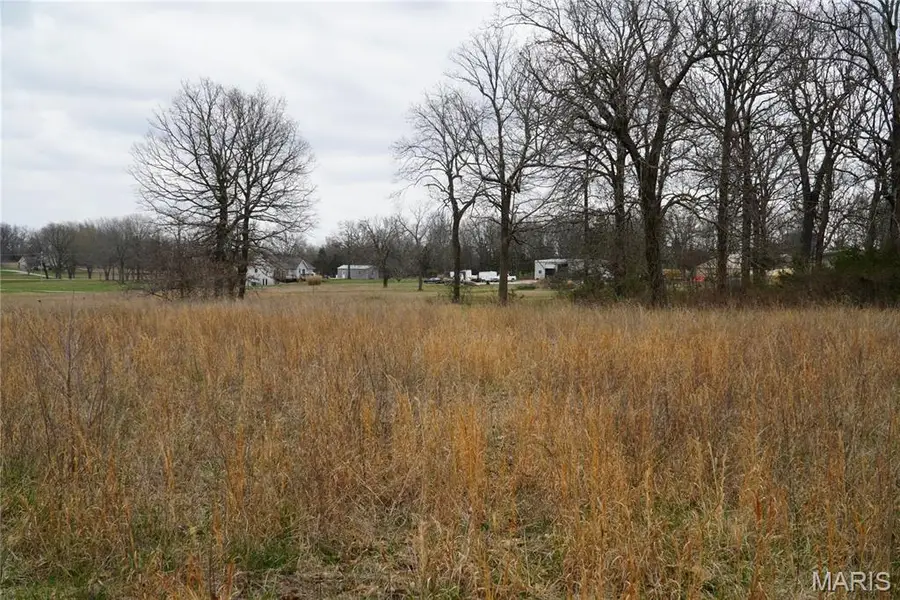 18143 Oasis Drive, Phillipsburg, MO 65722 - #3