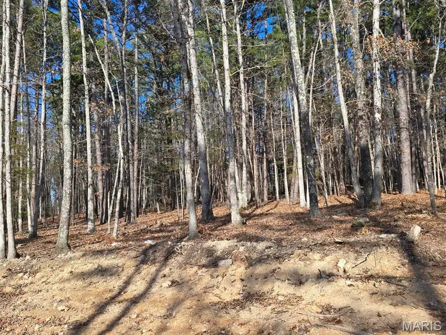 000 Mineral Drive Lot 4, Houston, MO 65483 - #2