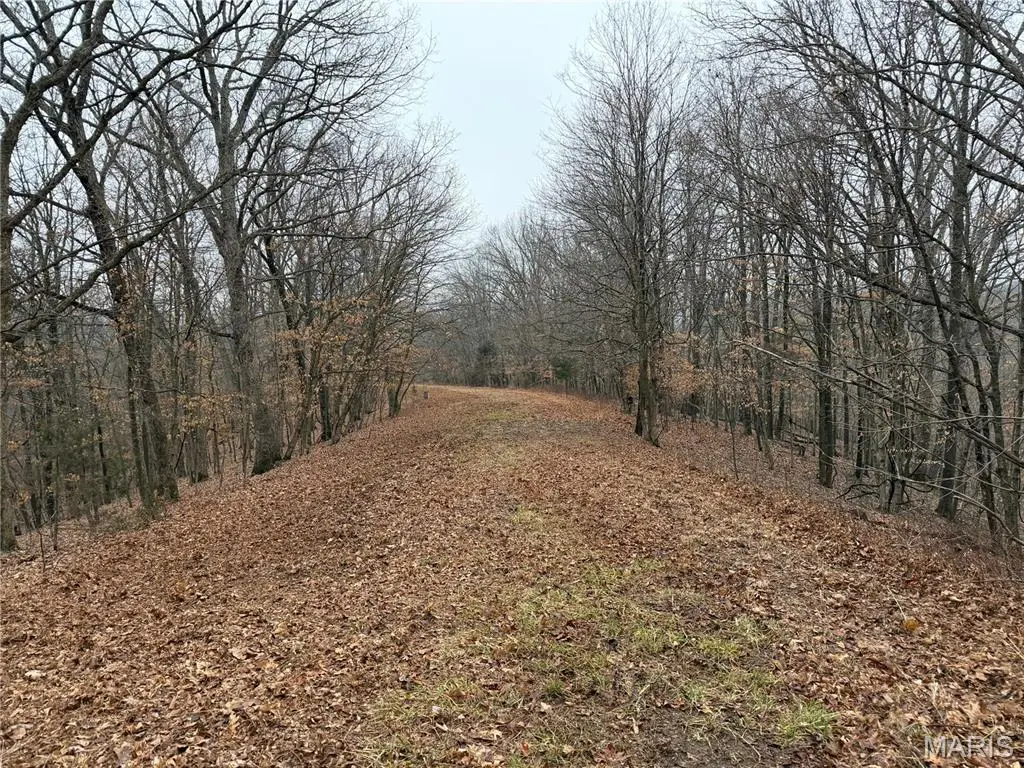 12178 Dogwood Drive, Holts Summit, MO 65043 - #1