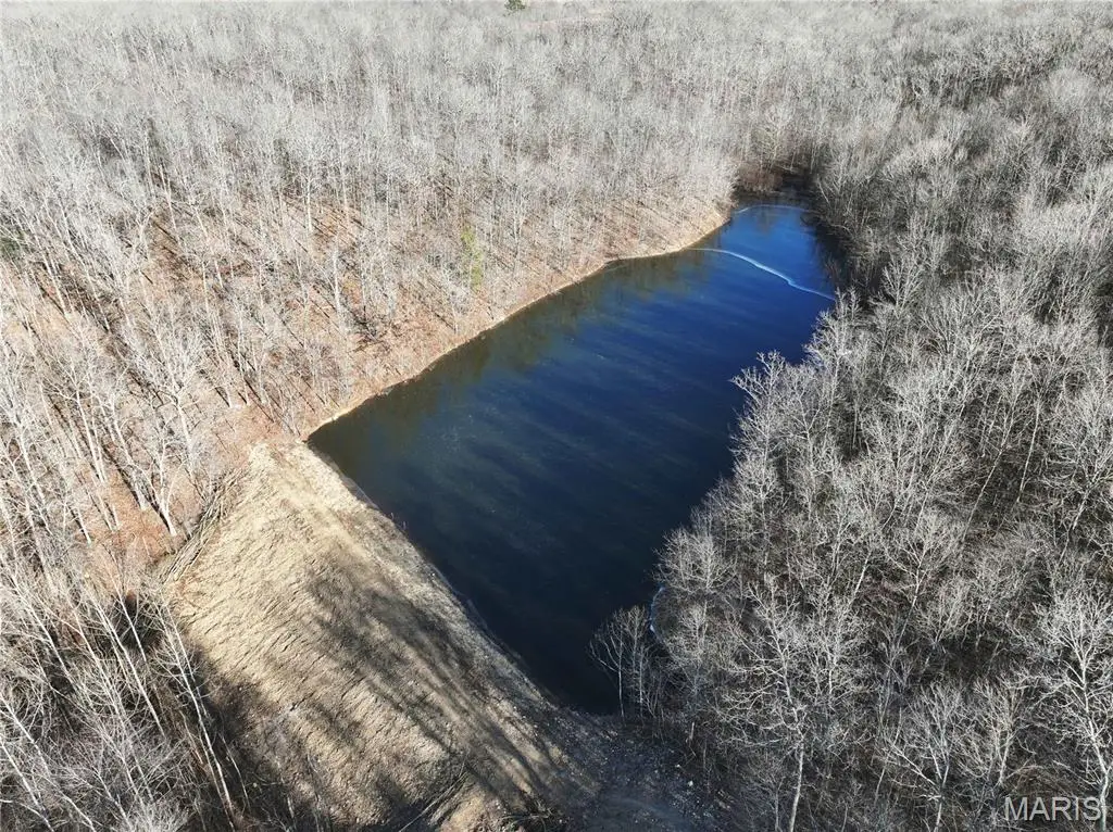 23609 State Highway Oo, Marble Hill, MO 63764 - #1