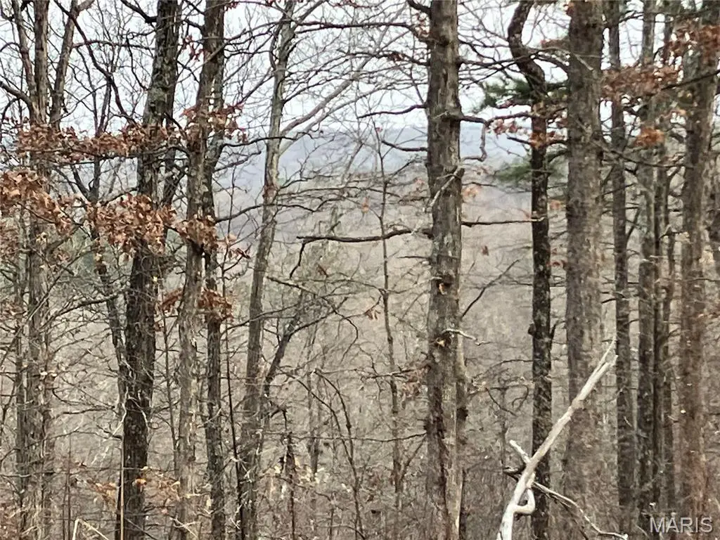 209 Madison Cr 410, Fredericktown, MO 63645 - #1