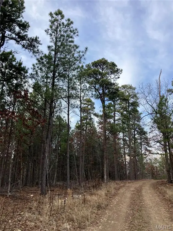 209 Madison Cr 410, Fredericktown, MO 63645 - #2