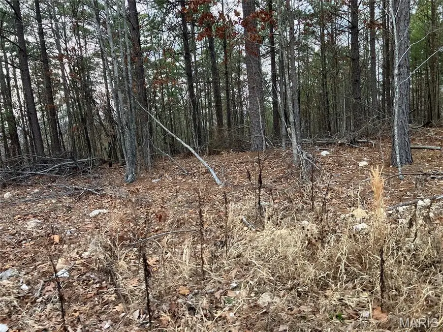 209 Madison Cr 410, Fredericktown, MO 63645 - #3