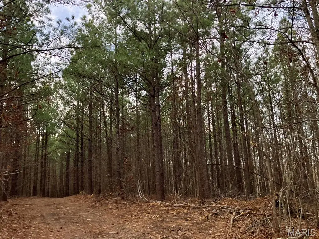 210 Madison Cr 410, Fredericktown, MO 63645 - #1