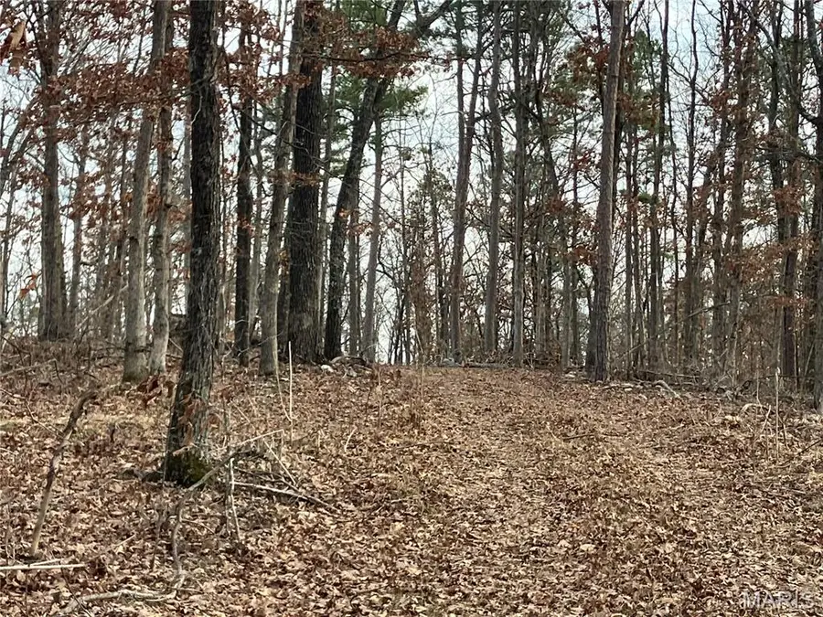 210 Madison Cr 410, Fredericktown, MO 63645 - #2