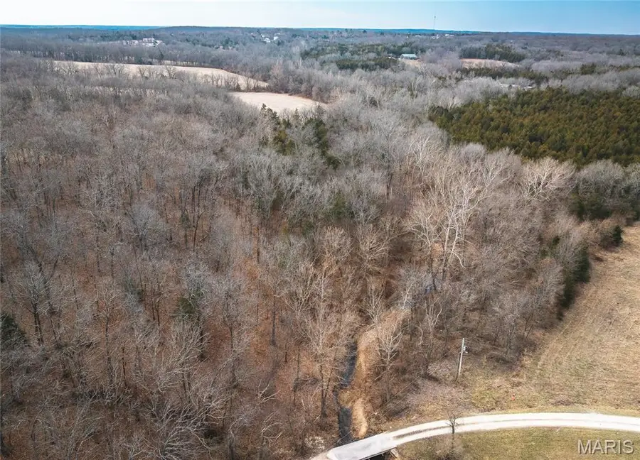 000 Lakeview Drive, Leslie, MO 63056 - #2