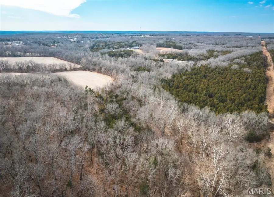 000 Lakeview Drive, Leslie, MO 63056 - #3