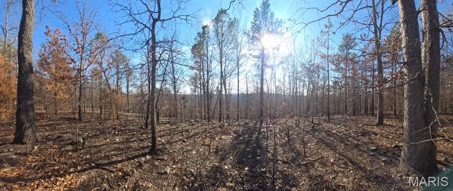 19-4.0-019-0 00-000-012.11000 Road, Potosi, MO 63664 - #3