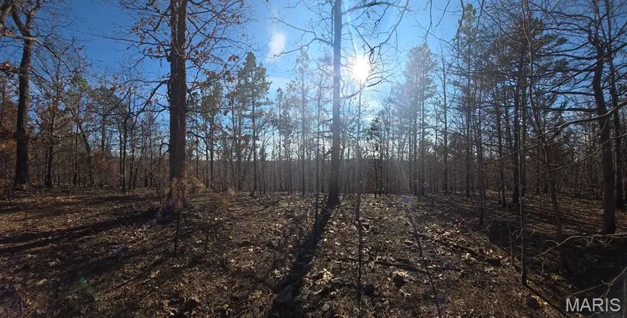 19-4.0-0019- 000-000-012.09000, Potosi, MO 63664 - #3