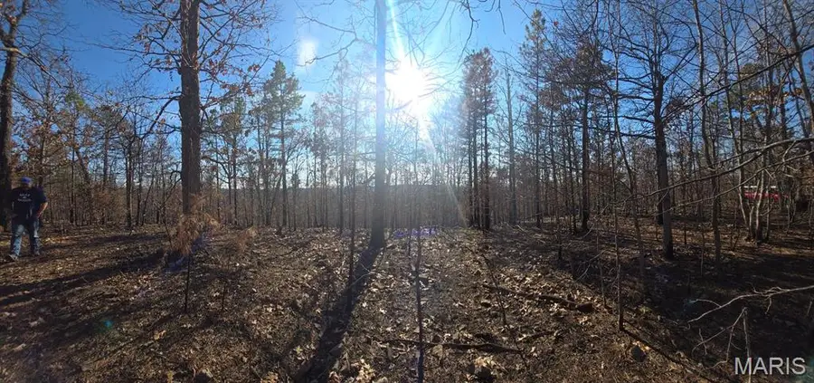 1-19-4.0-019 -000-000-012.10000 Drive, Potosi, MO 63664 - #3