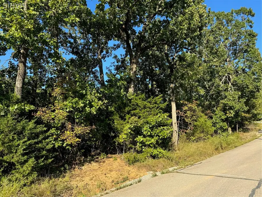 0 Lot 6b Lakeview Drive, Perryville, MO 63775 - #2