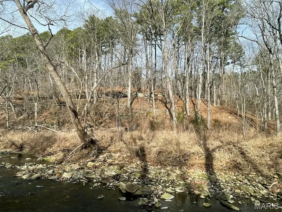 000 Forest Drive, Houston, MO 65483 - #3