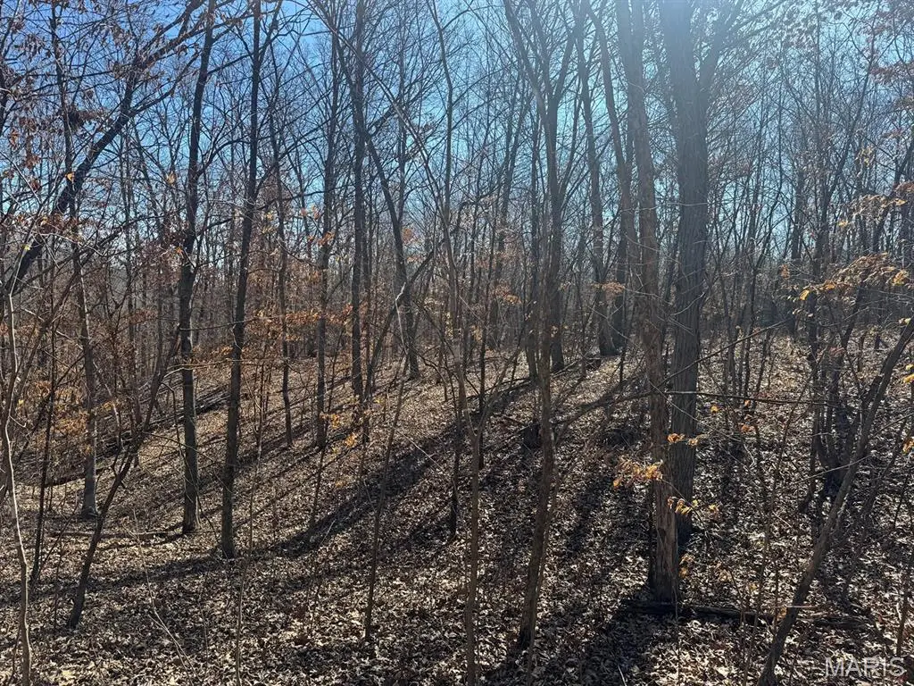 00 Clinton Place, Monroe City, MO 63456 - #1