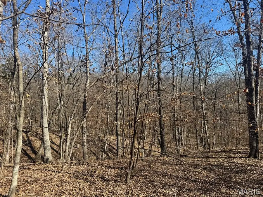 00 Clinton Place, Monroe City, MO 63456 - #3