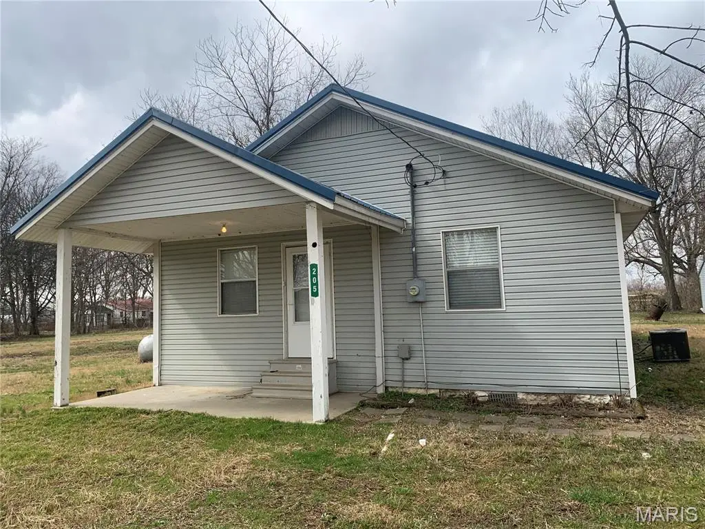 205 N Maple Street, Bragg City, MO 63827 - #1