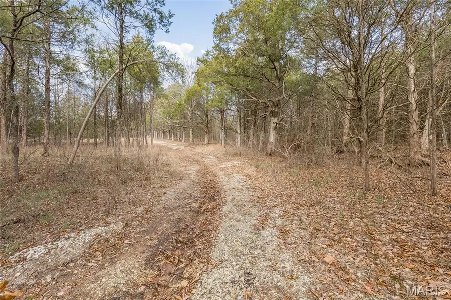 6111 Tall Cedars Road, Hillsboro, MO 63050 - #2