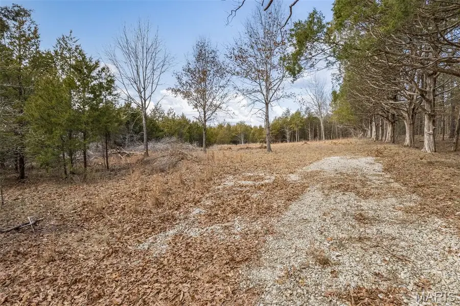 6111 Tall Cedars Road, Hillsboro, MO 63050 - #3