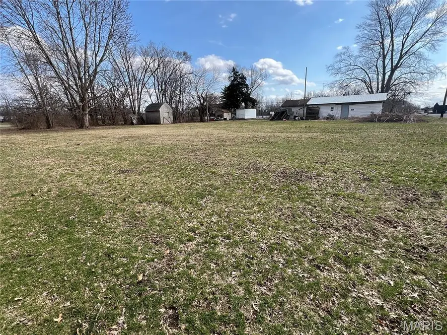 1015 N West Street, Carlinville, IL 62626 - #2