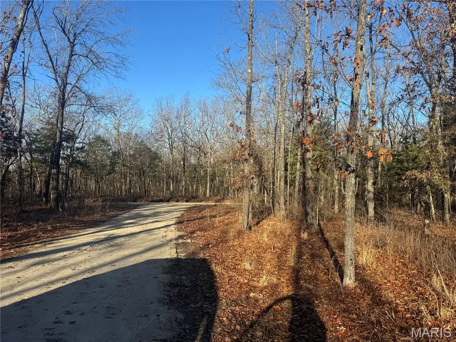 42850 Maries Road 638 Road, Dixon, MO 65459 - #2