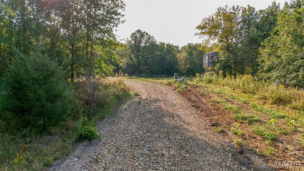 32 Hopkins Road, Perry, MO 63462 - #1