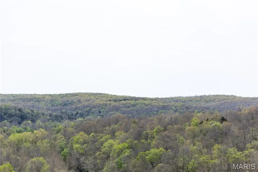 Lot 1F Short Road, Blackwell, MO 63626 - #3