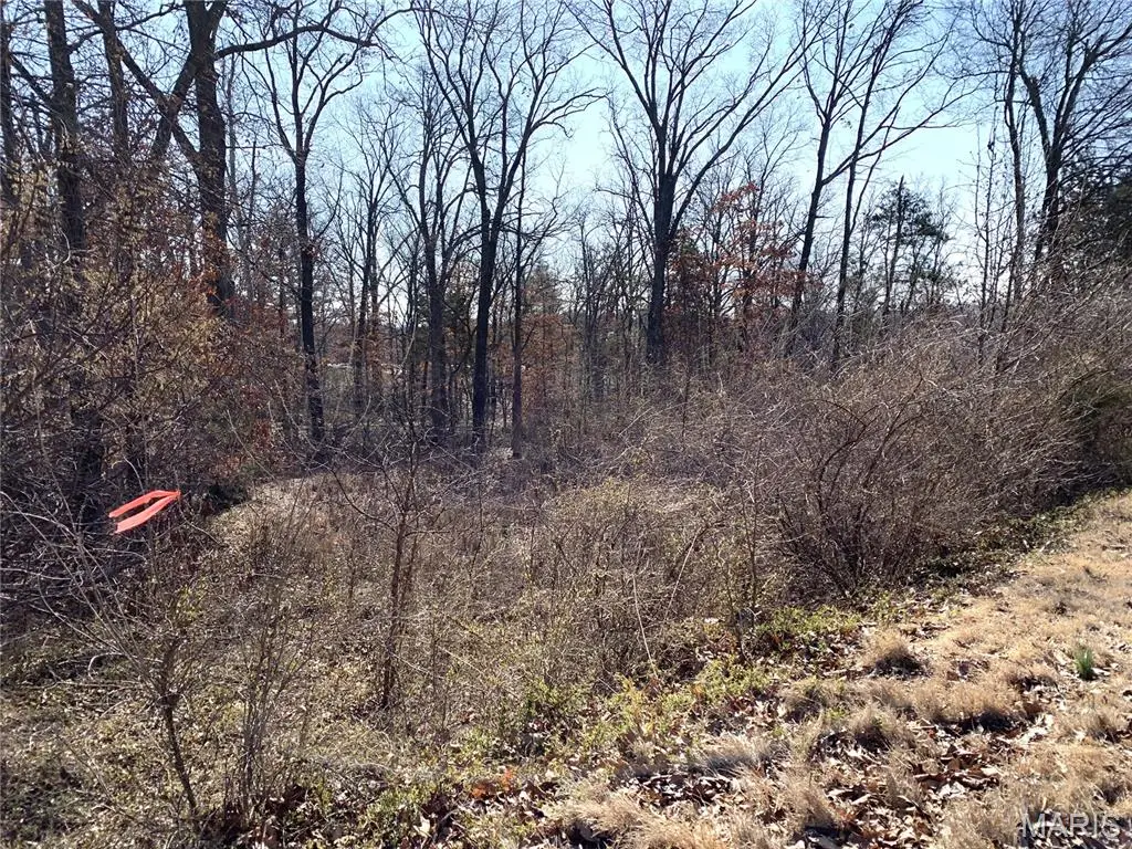 0 Heard Court, Union, MO 63084 - #1