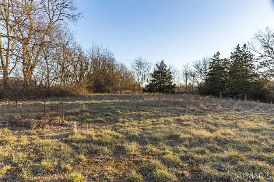 13 & 14 Jarvis Place, Farmington, MO 63640 - #2