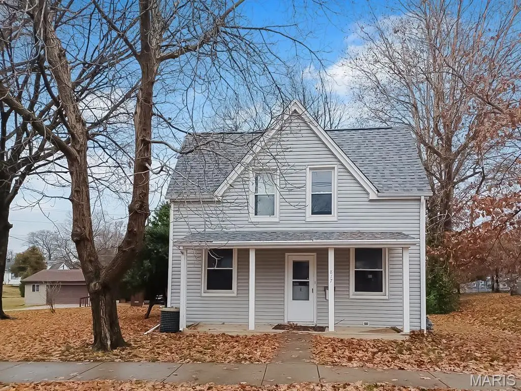 817 Union Avenue, Belleville, IL 62220 - #1