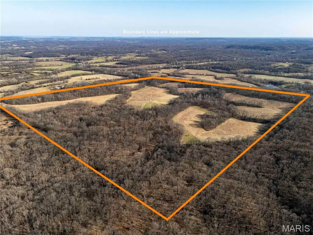 00 Pike 273, Louisiana, MO 63353 - #1