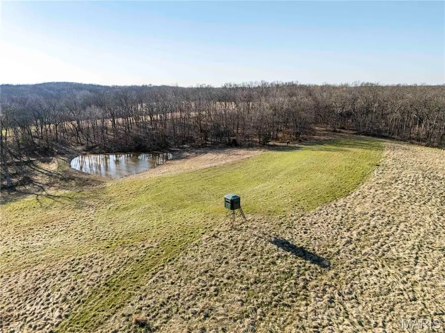 00 Pike 273, Louisiana, MO 63353 - #3